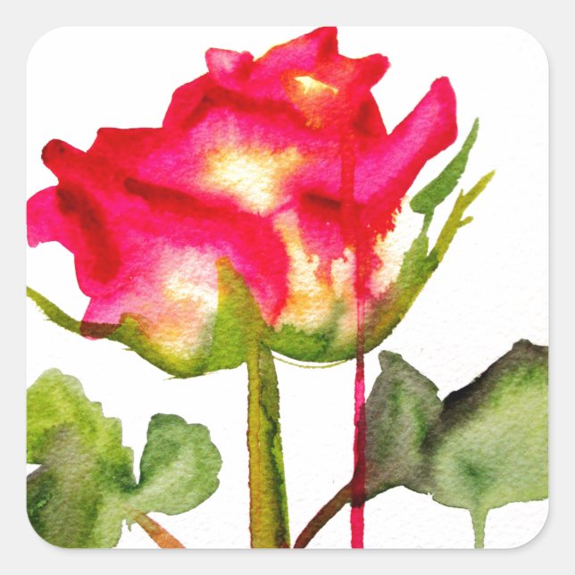 Hybrid Tee Rose Aquarell Moderne Blume Kunst Quadratischer Aufkleber (Vorderseite)