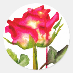 Hybrid Tee Rose Aquarell Moderne Blume Kunst Runder Aufkleber