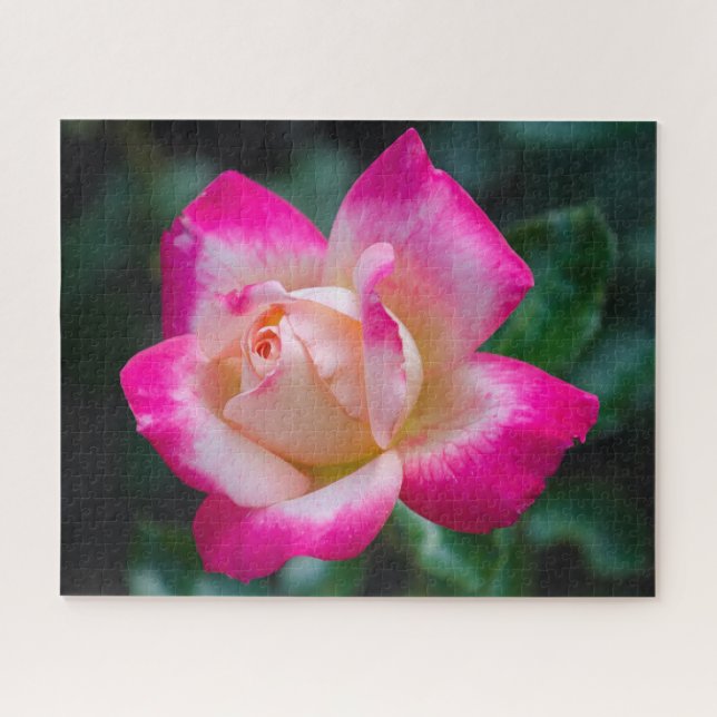 Hybrid Tee Rose Jigsaw Puzzle (Horizontal)