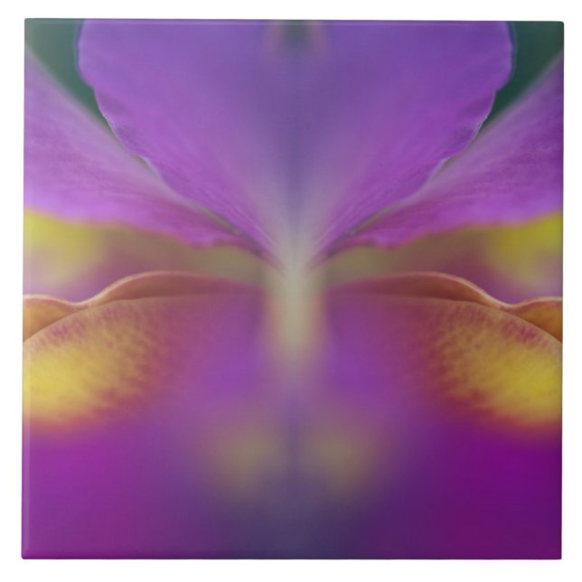 Hybride Orchidee, Florida 2 Fliese (Vorderseite)