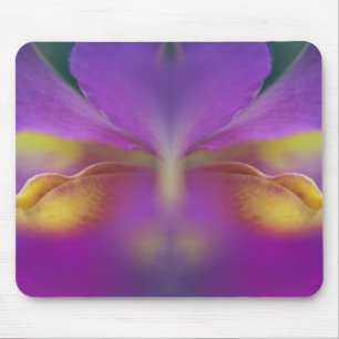 Hybride Orchidee, Florida 2 Mousepad