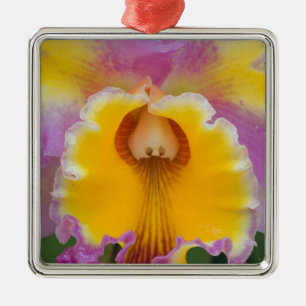 Hybride Orchidee, Florida Ornament Aus Metall