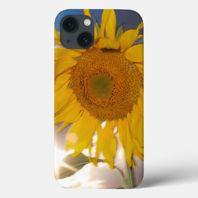 Hybride Sonnenblume bläst in der Dämmerung Case-Mate iPhone Hülle (Rückseite)