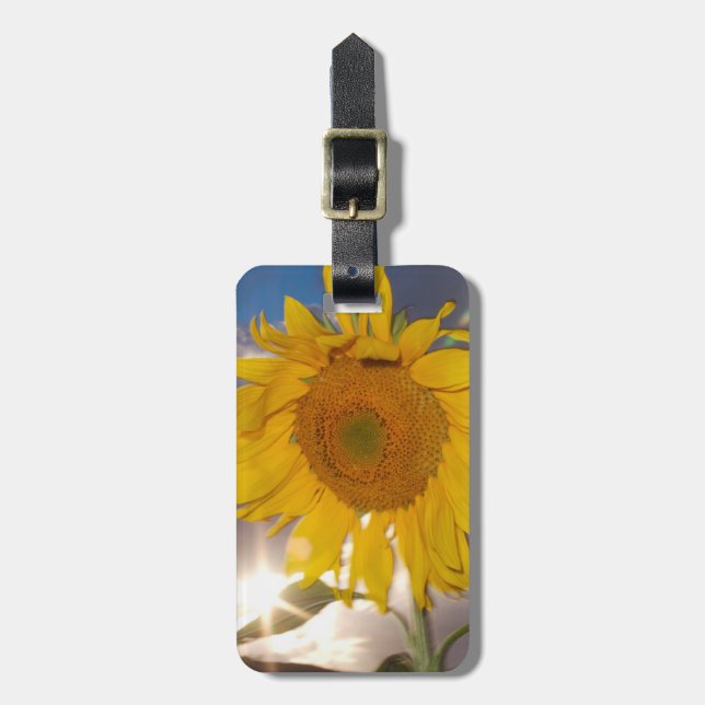 Hybride Sonnenblume bläst in der Dämmerung Gepäckanhänger (Vorderseite vertikal)