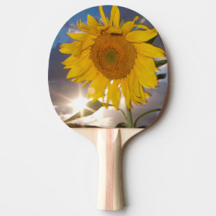 Hybride Sonnenblume, die in der Dämmerung im Wind  Tischtennis Schläger