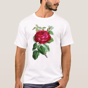 Hybride unaufhörliche Rose, Lord Napier T-Shirt