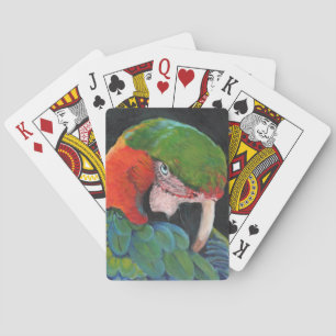 Hybrider Macaw Spielkarten