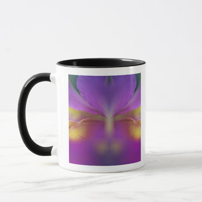 Hybridorchid, Florida 2 Tasse (Links)