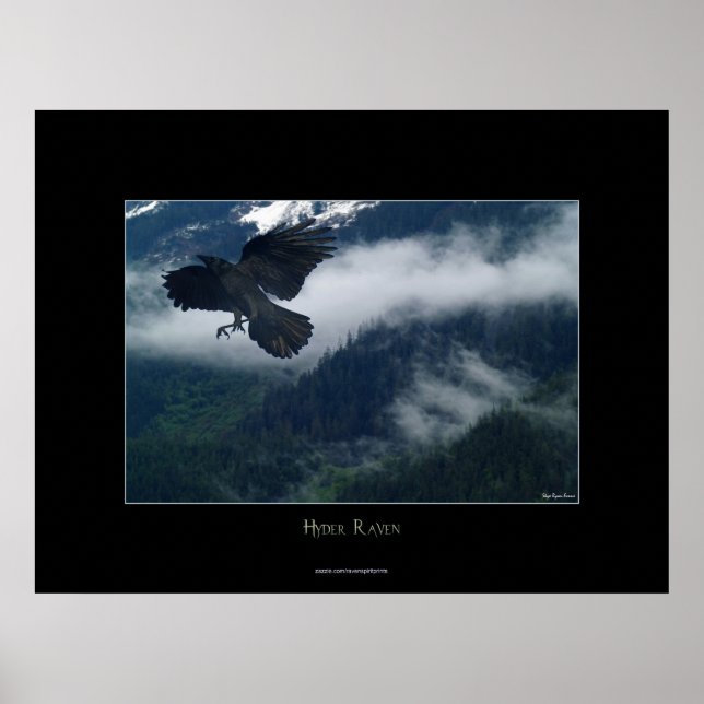 Hyder Raven Wildlife Art Nature Poster (Vorne)