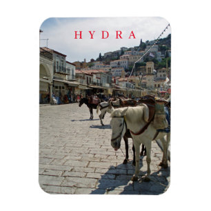 Hydra Insel Pferde Blick Kühlschrankmagnet Magnet