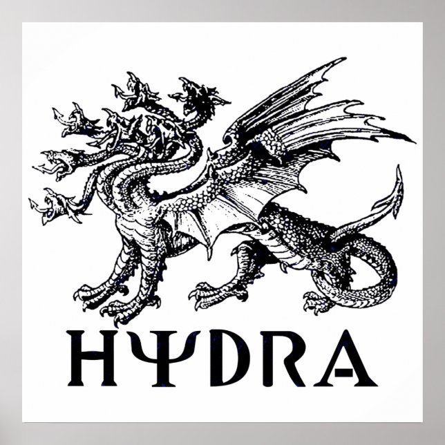Hydra Poster (Vorne)