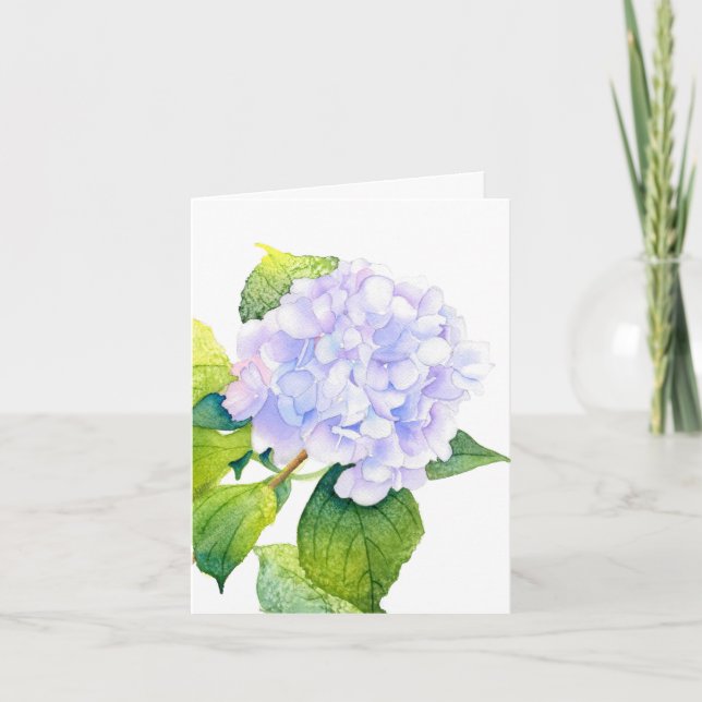 Hydrangea (Vorderseite)