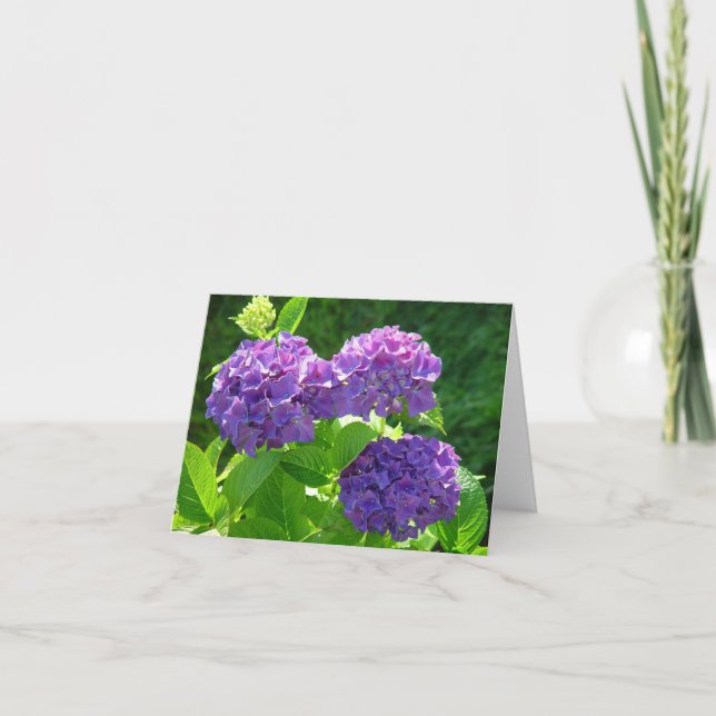 Hydrangea 2 karte (Vorderseite)