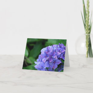 Hydrangea 6893 karte