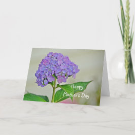 Hydrangea am Muttertag Karte