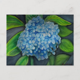 Hydrangea Aquarellmalerei Postcard Postkarte
