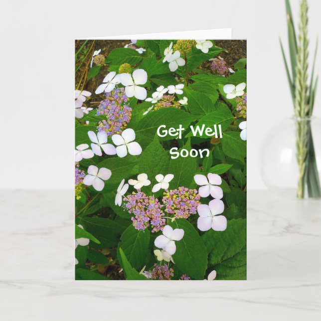 Hydrangea Aspera - bald wieder gesund Karte (Vorderseite)