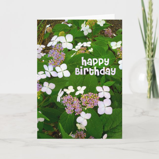 Hydrangea Aspera Geburtstag Karte (Vorderseite)