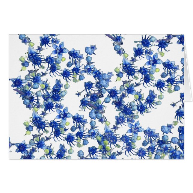 Hydrangea bgc transparent (Vorderseite (Horizontal))