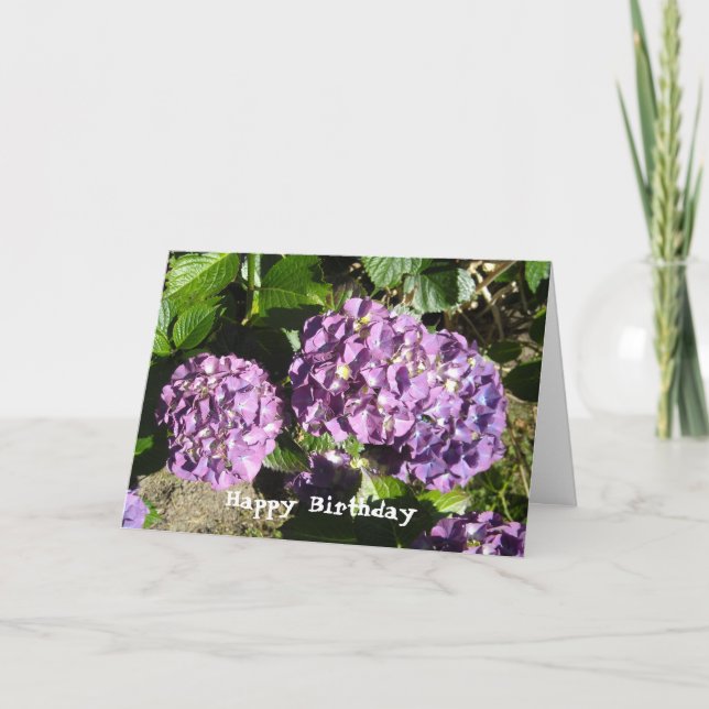 Hydrangea Birthday Greeting Karte (Vorderseite)