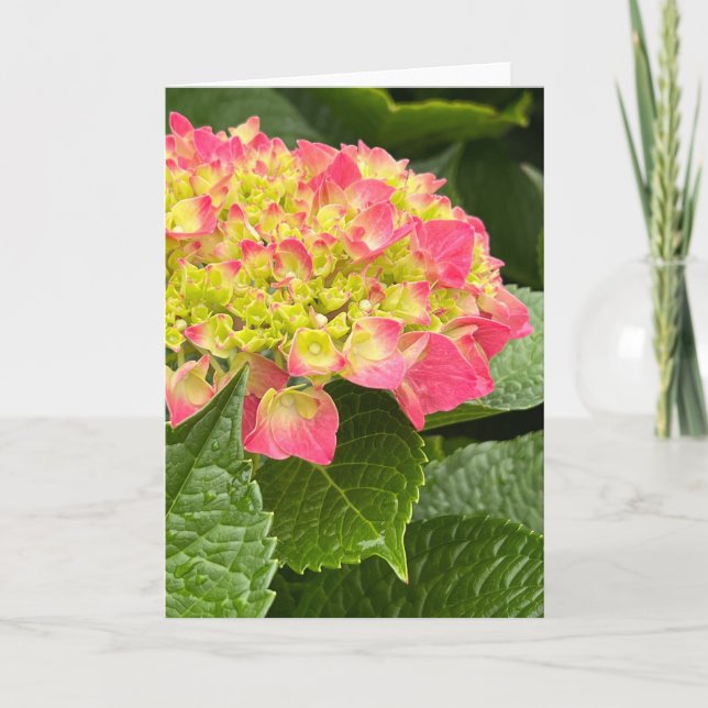 Hydrangea Blank Note Card (Vorderseite)