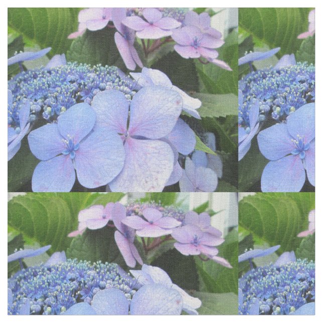 Hydrangea-blaue lila hübsche Blume Stoff (Nahaufnahme)