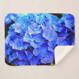 Hydrangea-Blues Sherpadecke