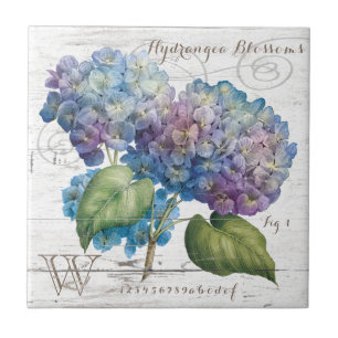 Hydrangea blüht Monogramm Fliese