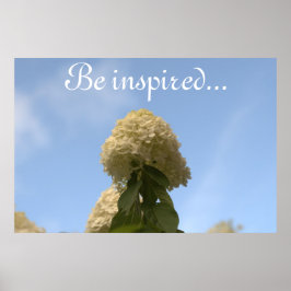 Hydrangea Blume Blue Sky Poster