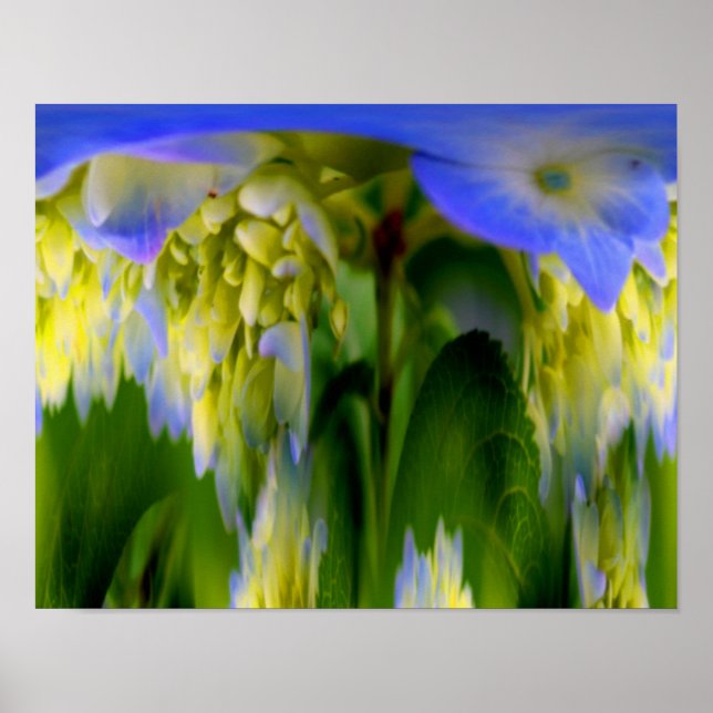 Hydrangea Blume Fantasy Floral Abstrakt Poster (Vorne)