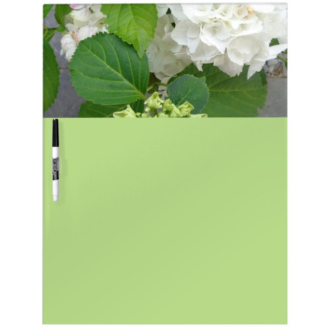 Hydrangea Blume Grüner Garten Pflanze Trockenlöschtafel (Vorderseite)