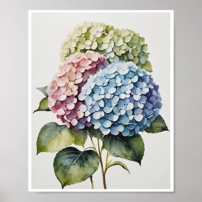 Hydrangea-Blume Handgemachte Poster Wasserfarbe (Vorne)