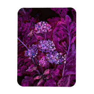 Hydrangea Blume Horseradish Floral Art Lila Magnet