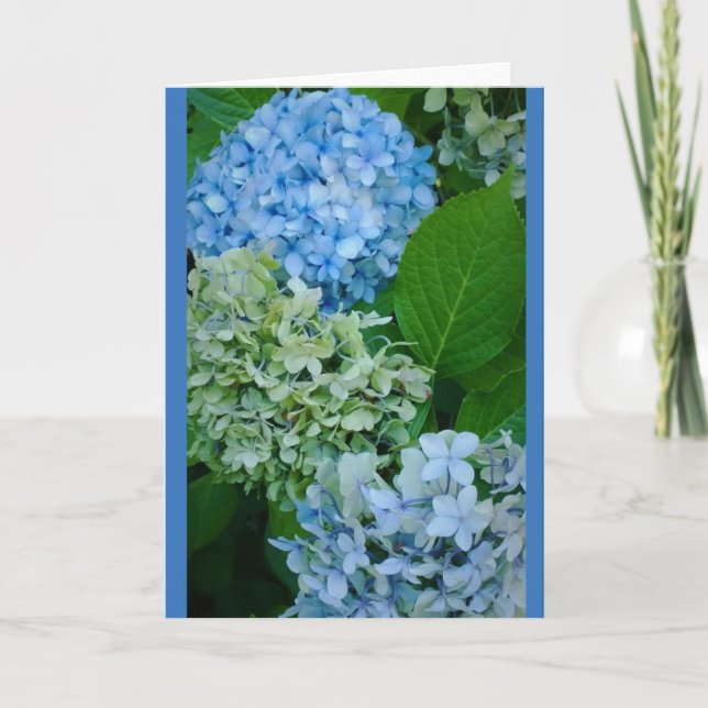 Hydrangea-Blume Karte (Vorderseite)