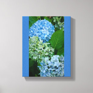 Hydrangea-Blume Leinwanddruck