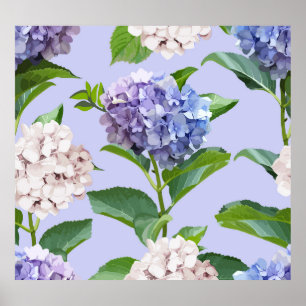 Hydrangea-Blume: mehrfarbige Blumenstruktur. Poster