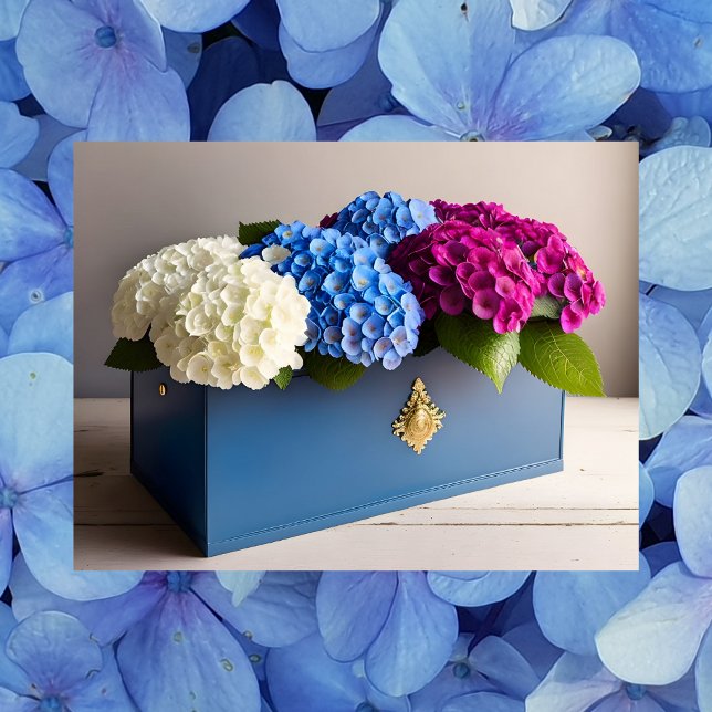 Hydrangea-Blume, Postüberquerung Postkarte (Von Creator hochgeladen)