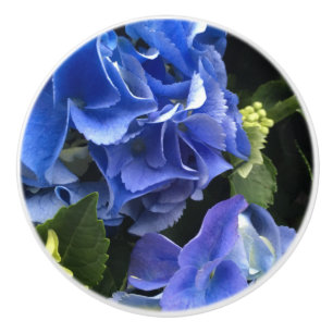 Hydrangea-Blume-Schubladen Puls Blue Lila & Green Keramikknauf