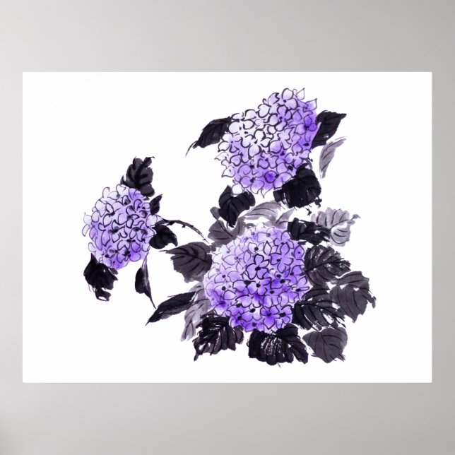 Hydrangea-Blume Sumie Poster (Vorne)