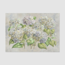 Hydrangea-Blumenlavendel auf grauem Vintagem