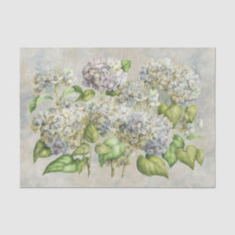 Hydrangea-Blumenlavendel auf grauem Vintagem Seidenpapier