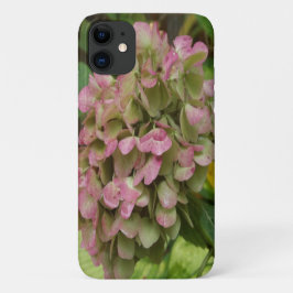Hydrangea Blüte im Herbst mit Golden Hosta Blätter Case-Mate iPhone Hülle