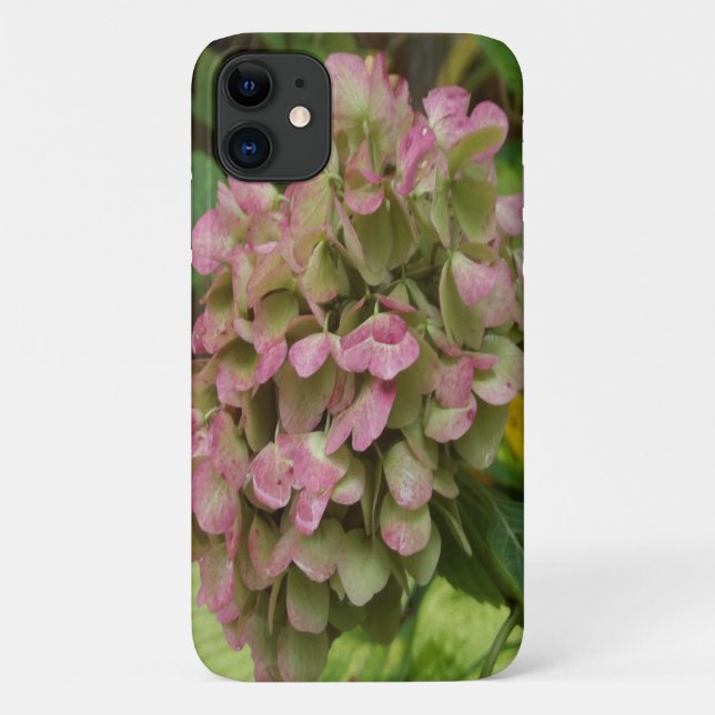 Hydrangea Blüte im Herbst mit Golden Hosta Blätter Case-Mate iPhone Hülle (Rückseite)