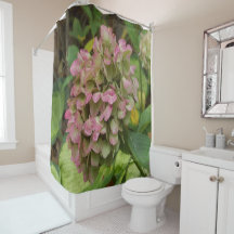 Hydrangea Blüte im Herbst mit Golden Hosta Blätter