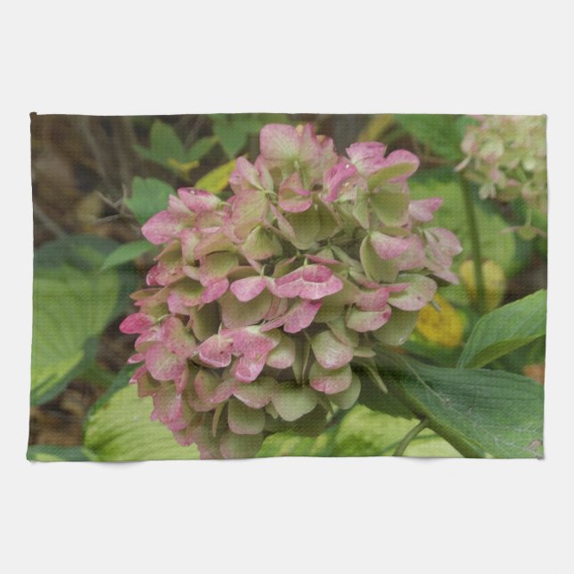 Hydrangea Blüte im Herbst mit Golden Hosta Blätter Geschirrtuch (Horizontal)