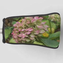 Hydrangea Blüte im Herbst mit Golden Hosta Blätter Golf Headcover