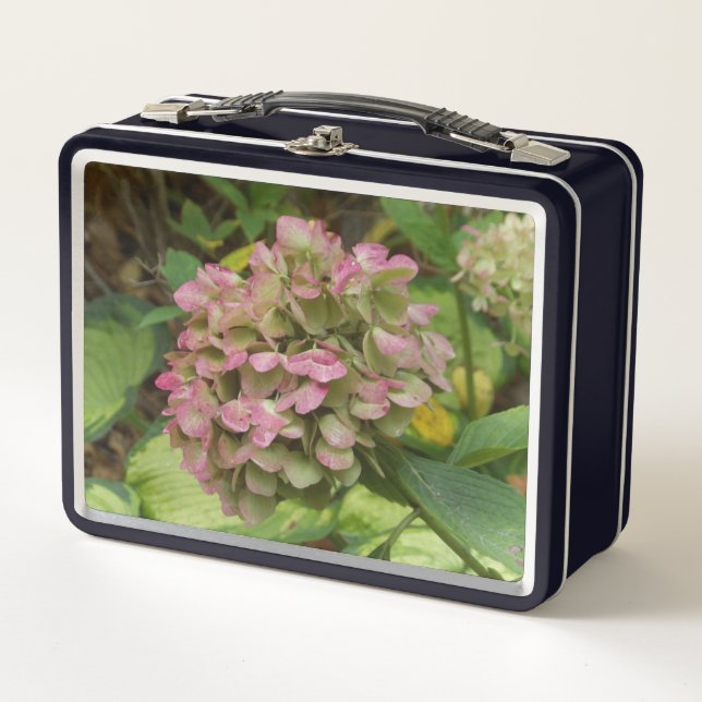 Hydrangea Blüte im Herbst mit Golden Hosta Blätter Metall Brotdose (Vorderseite)