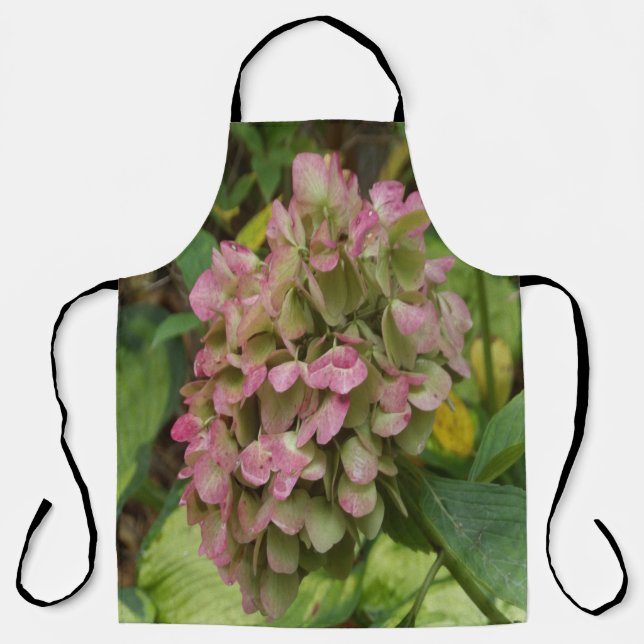 Hydrangea Blüte im Herbst mit Golden Hosta Blätter Schürze (Vorderseite)