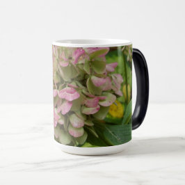 Hydrangea Blüte im Herbst mit Golden Hosta Blätter Verwandlungstasse