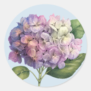 Hydrangea-Blüte Runder Aufkleber